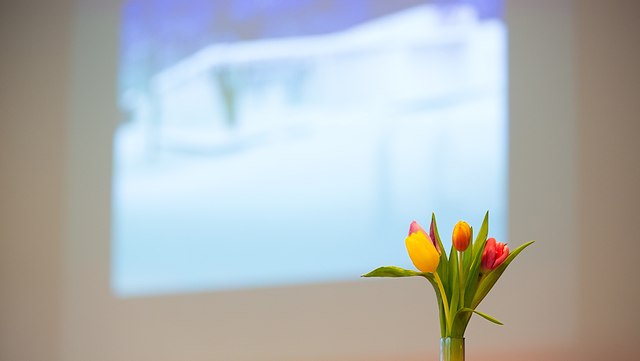 Kooperationseinrichtungen