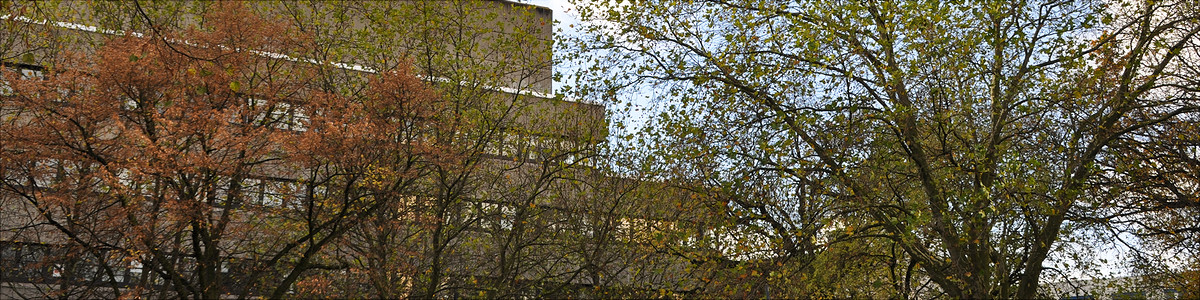 Staff Institute Of Psychology Universitat Hamburg